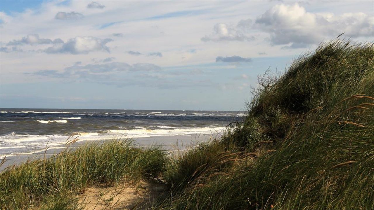 Dünen Baltrum Dünen Baltrum